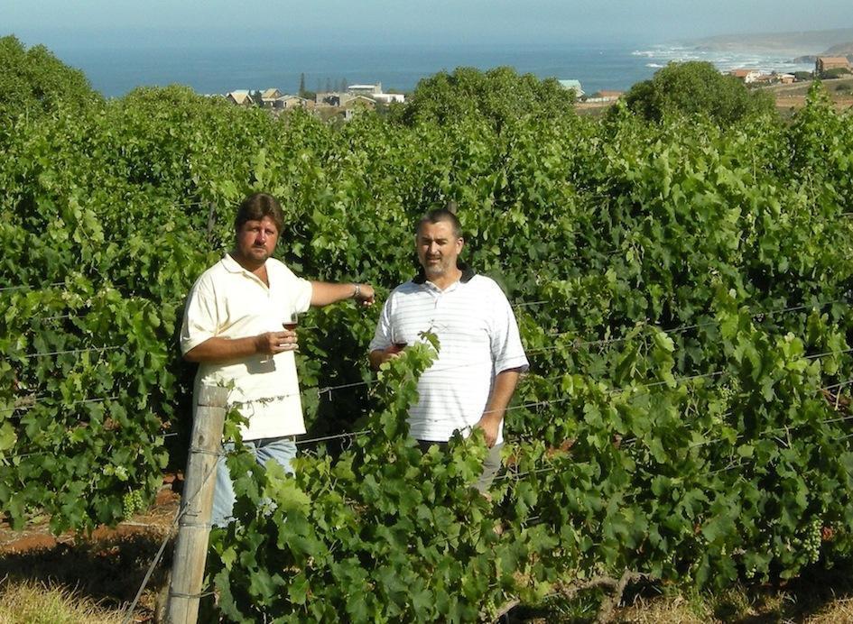 Jan Ponk van Zyl and Wynand Hamman in the Fryers Cove vineyards