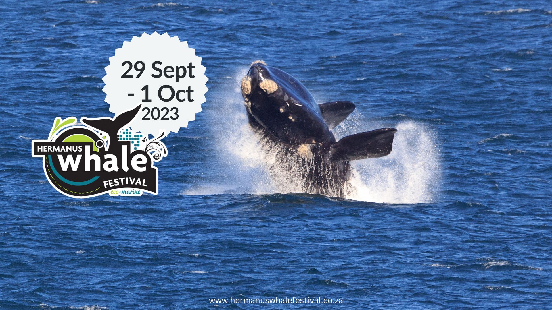 2023 Hermanus Whale festival