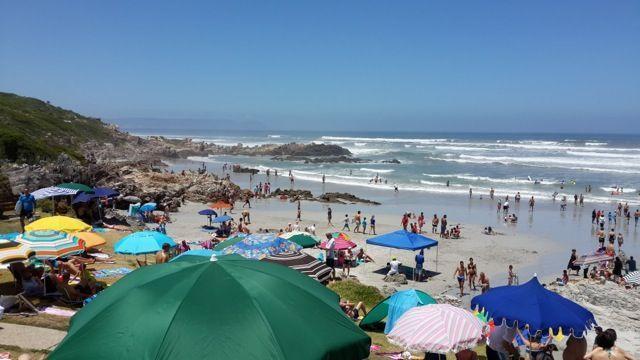 Photo Gallery of Voelklip Beach - Hermanus | Hermanus Online Travel ...