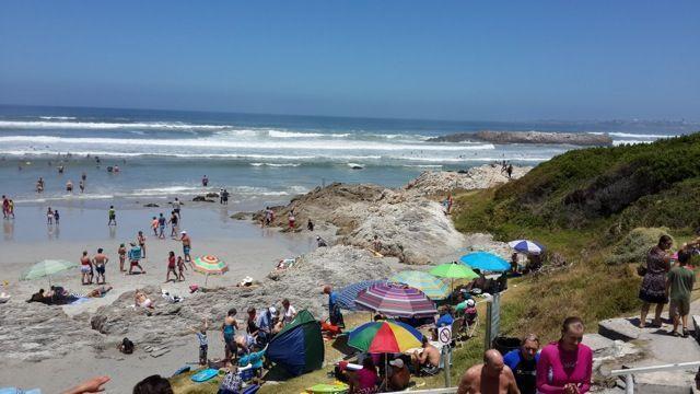 Photo Gallery of Voelklip Beach - Hermanus | Hermanus Online Travel ...